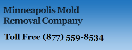 Minneapolis Mold Testing and Removal